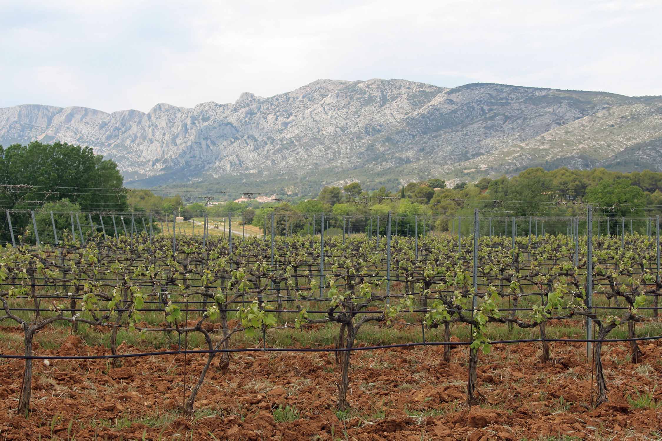 Sainte-Victoire