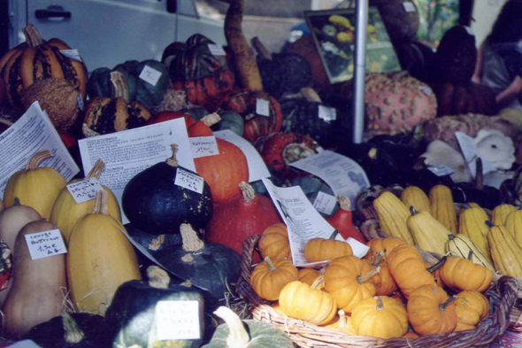 Provence, Légume