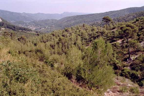 Sainte-Beaume, massif