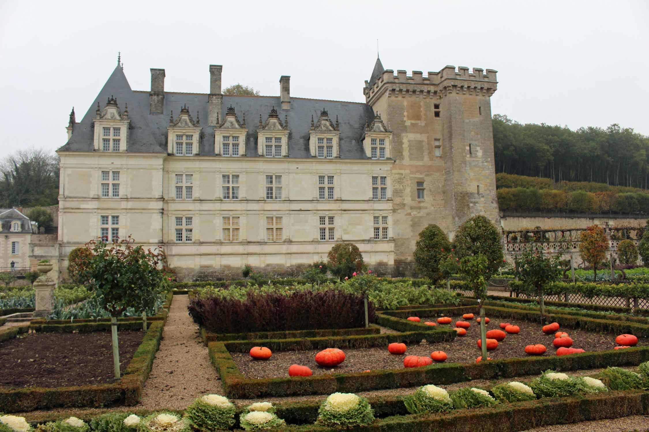 Villandry, jardin