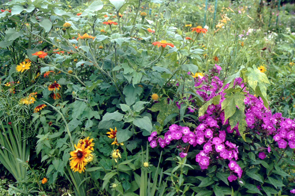 Giverny, Clos Normand