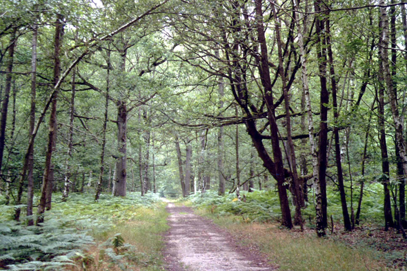 Vallée de Chevreuse