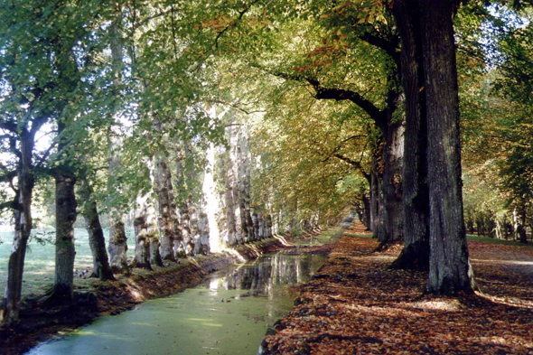 Chenonceau, parc, forêt