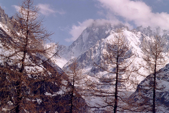 Le glacier de la Mer de Glace