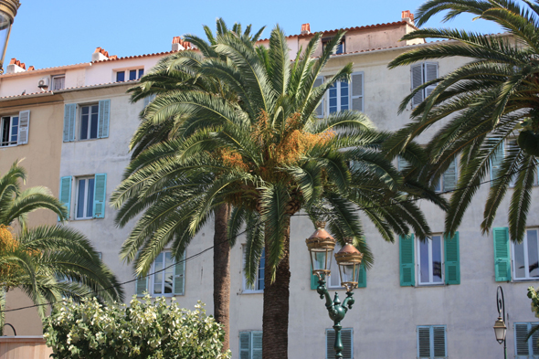 Ajaccio, place du Maréchal Foch