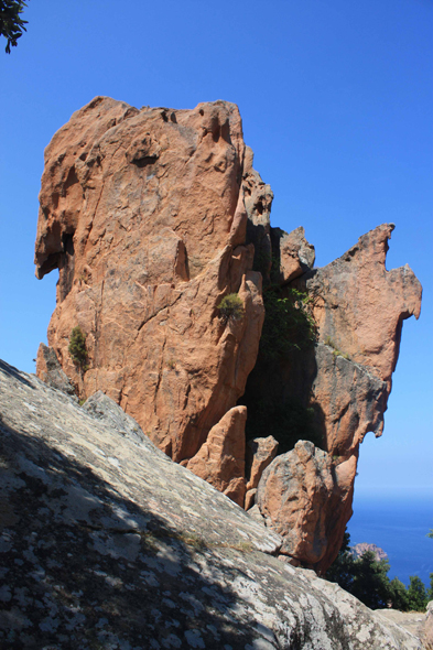 Corse, Calanches, Piana