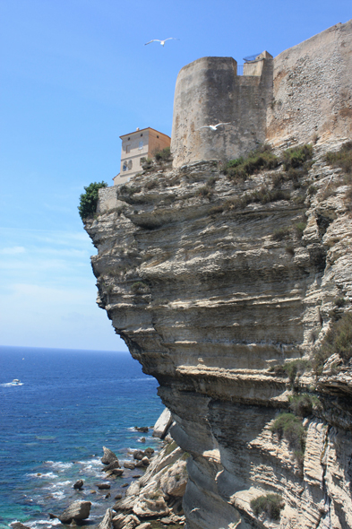 Bonifacio, falaise