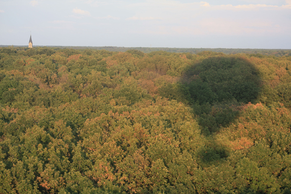 Forêt de Rambouillet