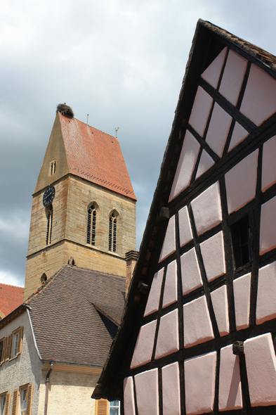 Eguisheim, vignoble