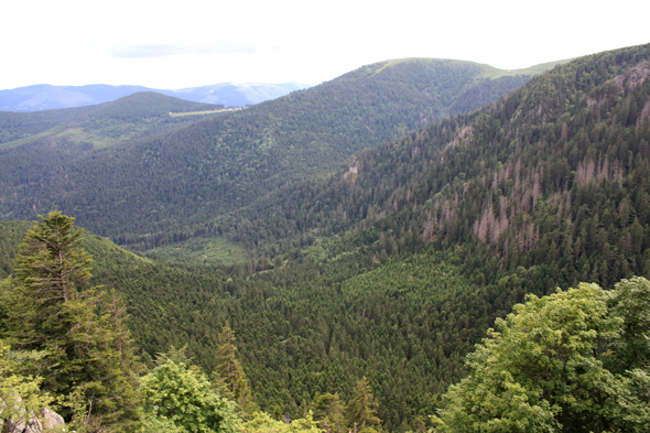 Col de la Schlucht