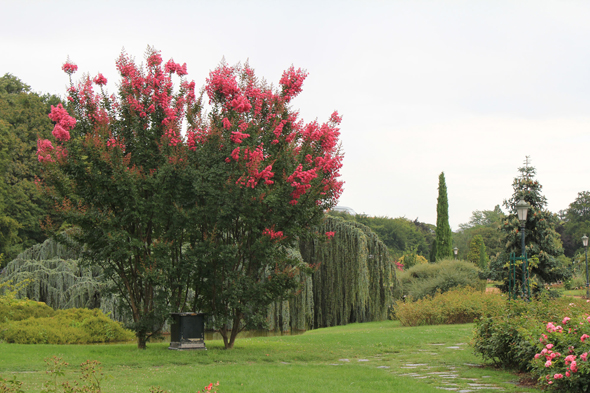 Parc de la Tête d'Or