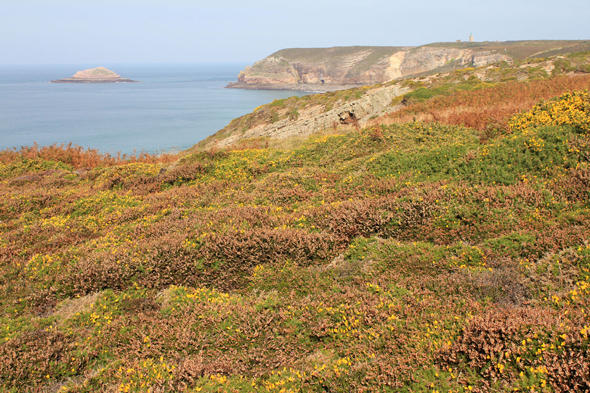 Cap Fréhel, falaises