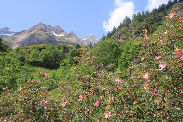 Cirque naturel de Gavarnie