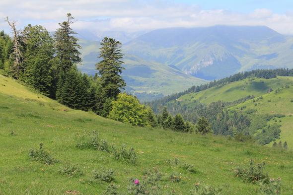 Col d'Aspin