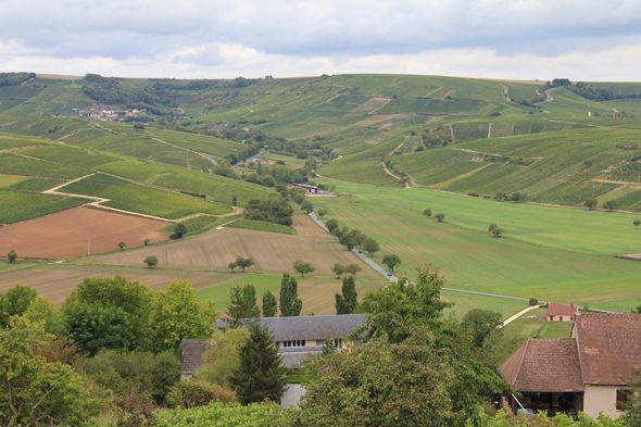 Sancerre, vignoble