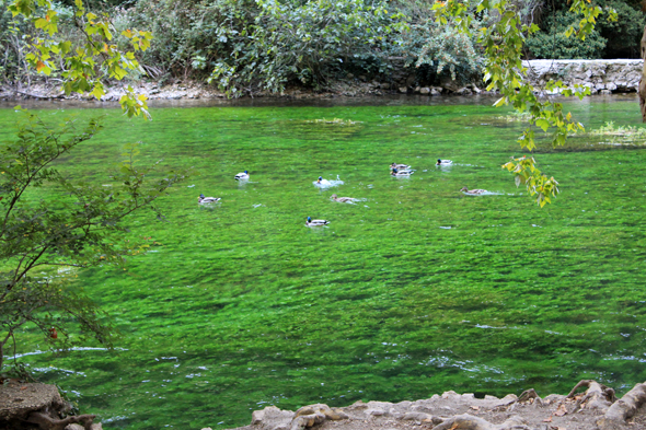 Fontaine-de-Vaucluse, Sorgue