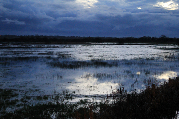 Les marais, hiver