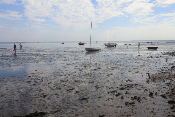 Saint-Vaast-la-Hougue, baie