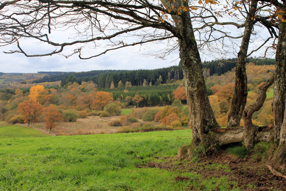 Morvan, automne