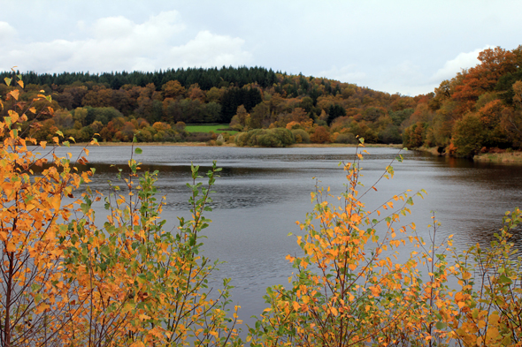 Lac des Settons, automne