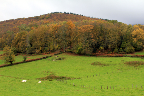 Saint-Léger-sur-Beuvray, paysage