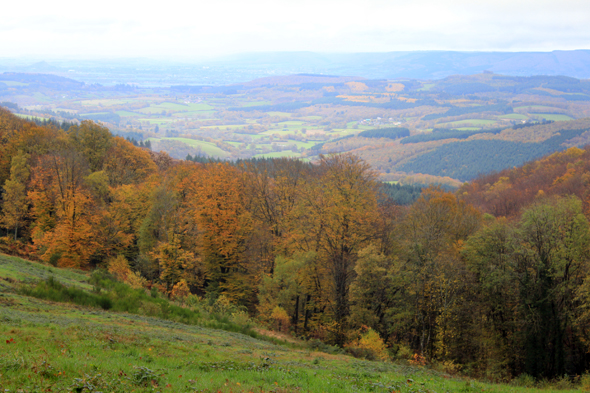 Mont Beuvray, paysage