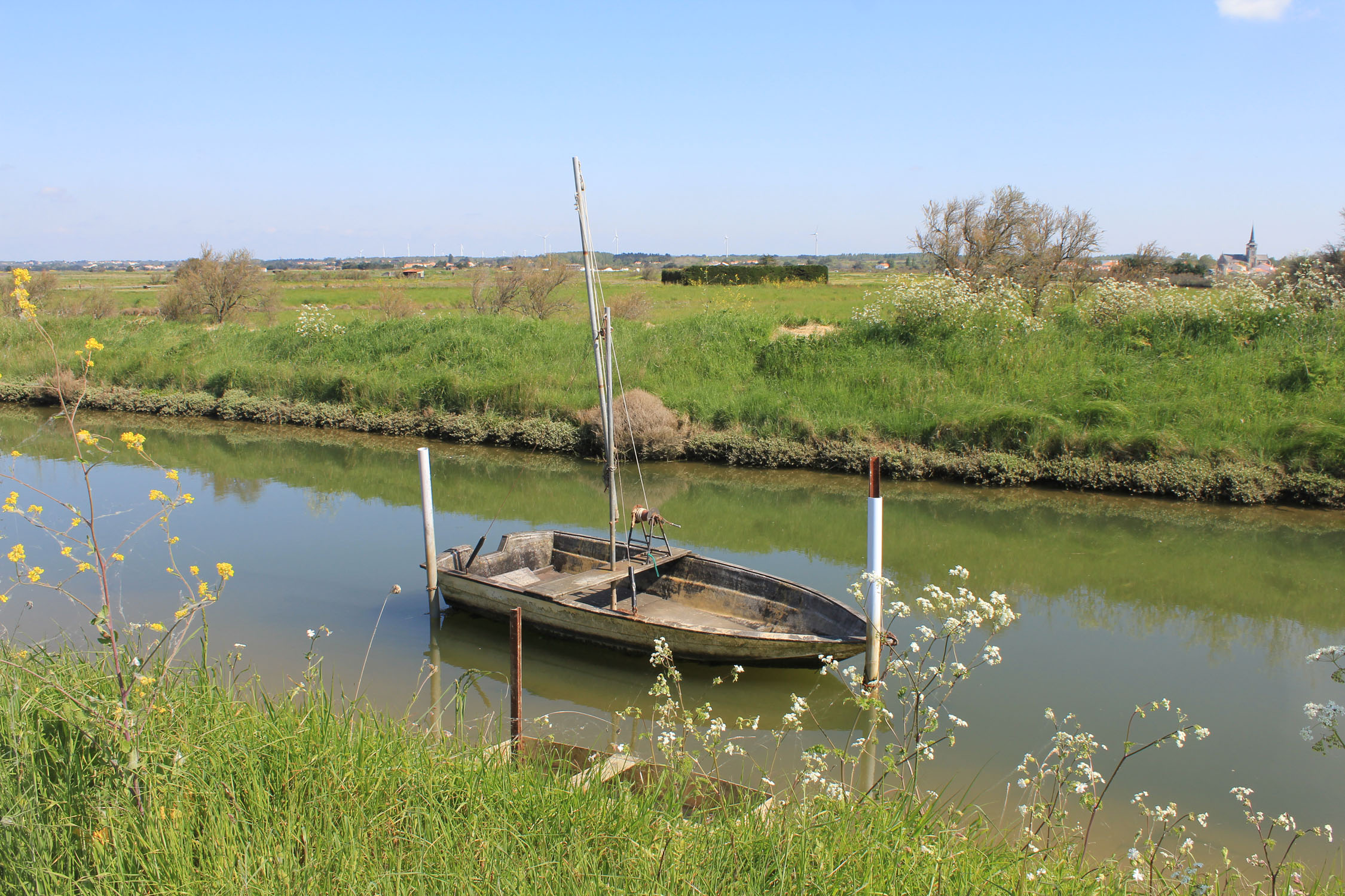 Ile-d-Olonne, marais