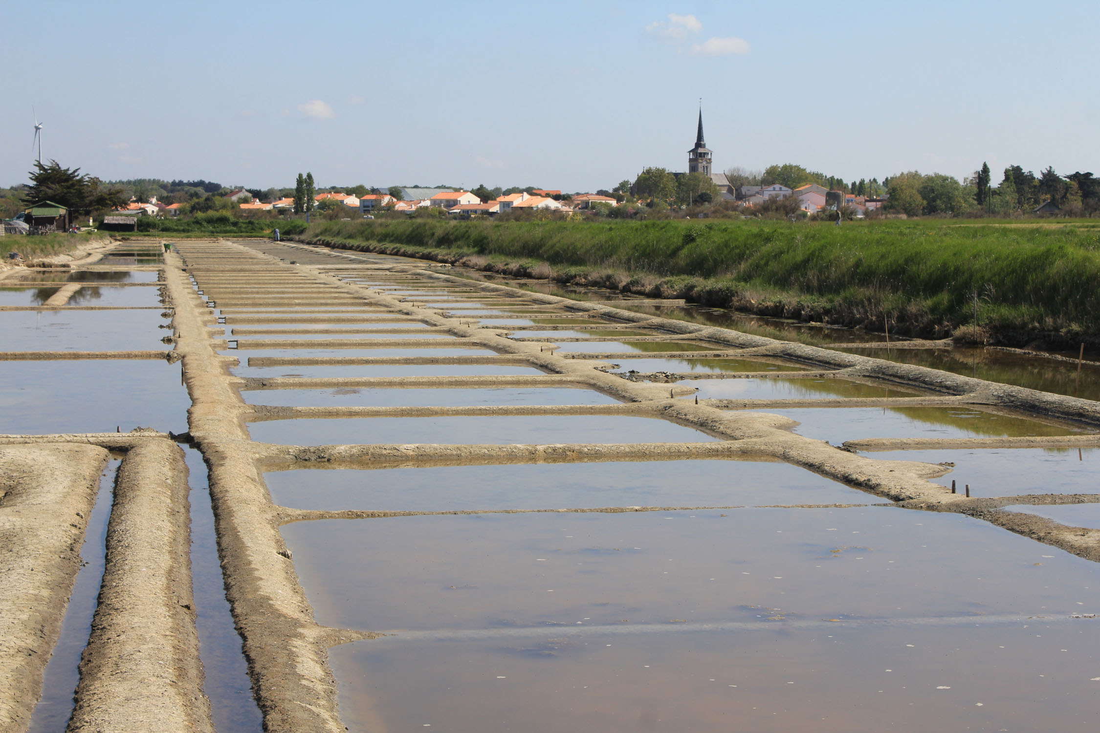 Ile-d'Olonne, marais salants