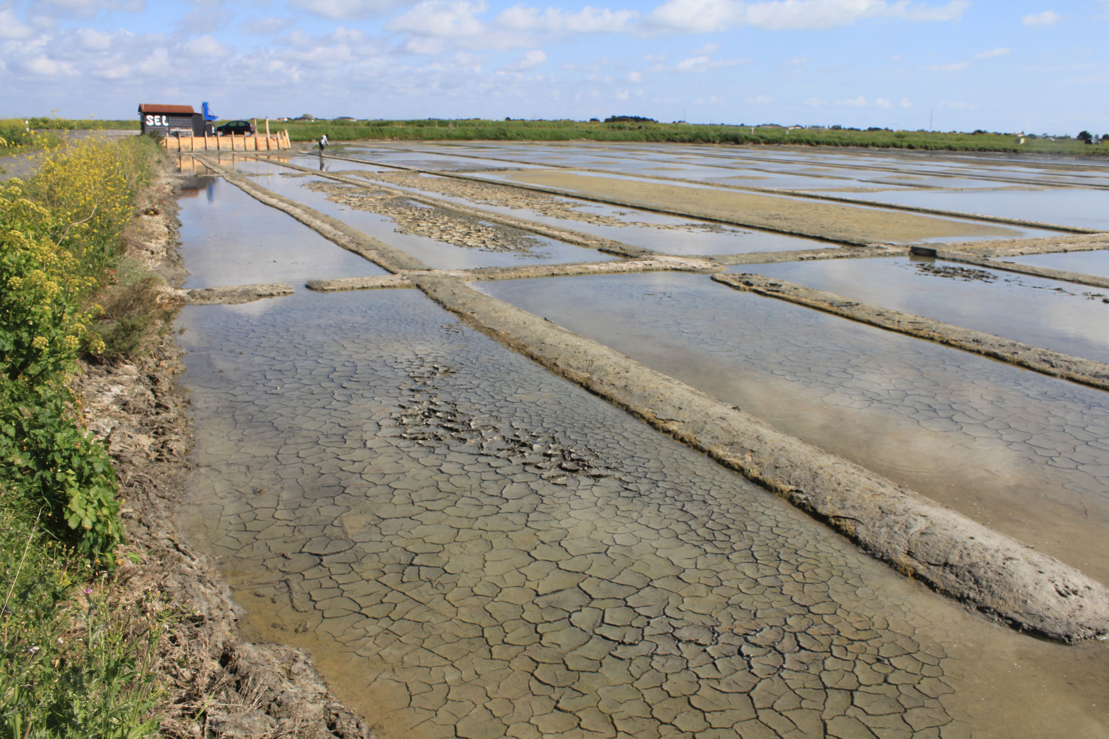 Noirmoutier, marais salants