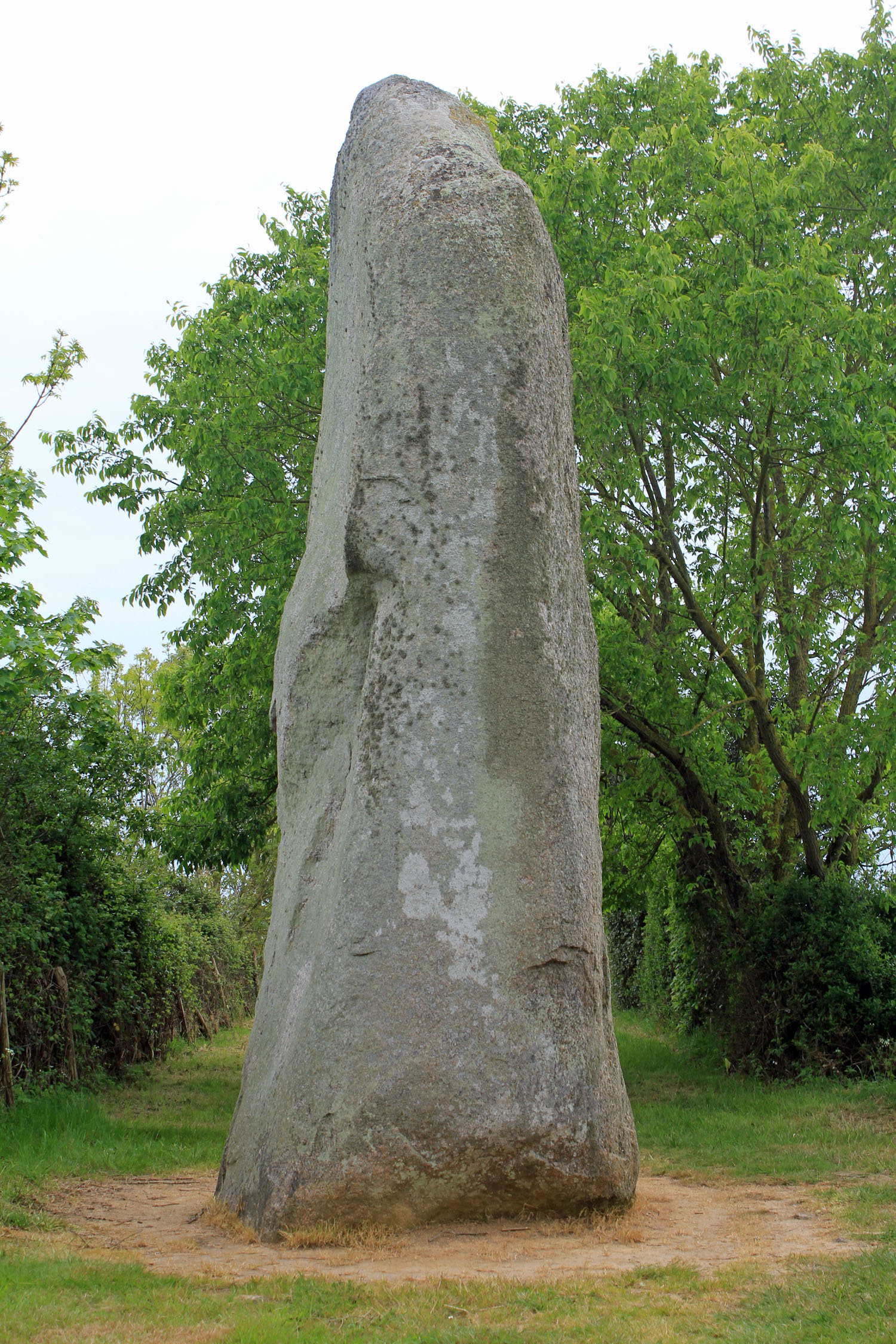 Menhir du Plessis, Le Bernard