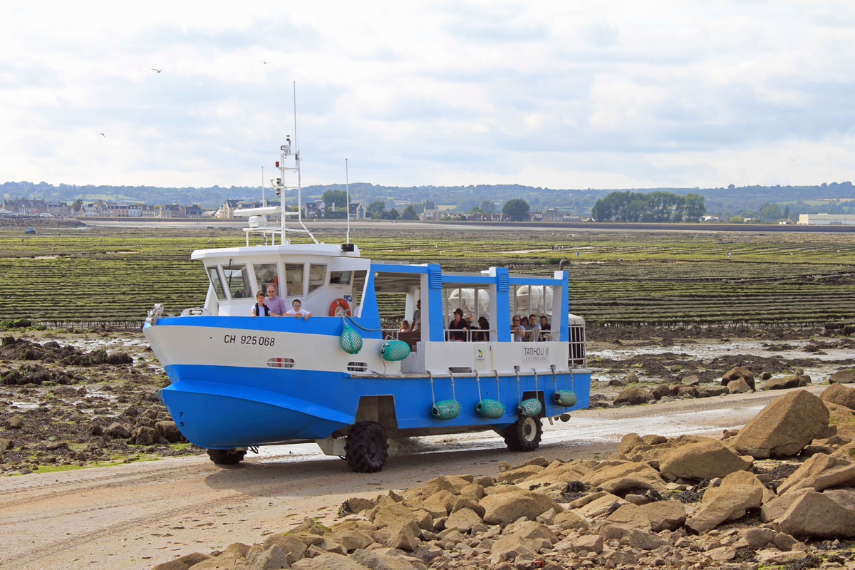 Ile de Tatihou, bateau