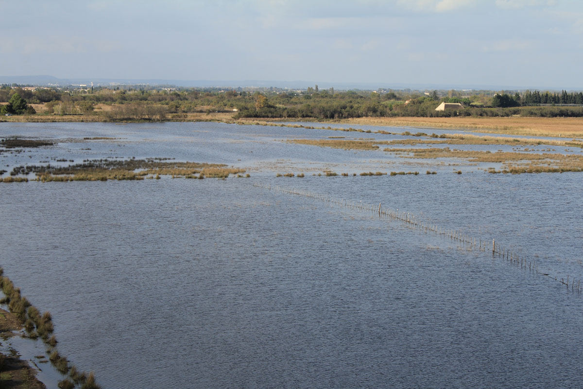 Aigues-Mortes, la Camargue