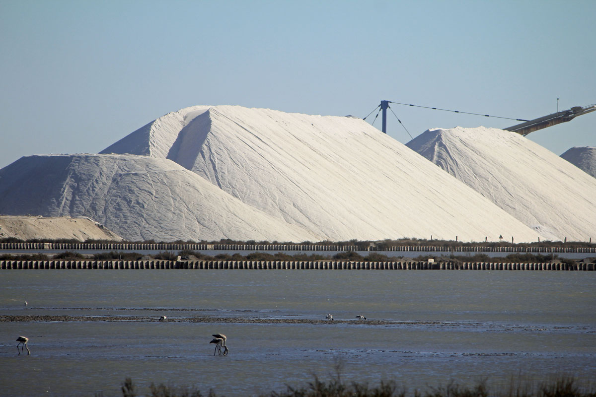 Salins du Midi