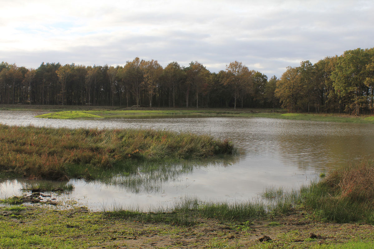 Etang de Sologne