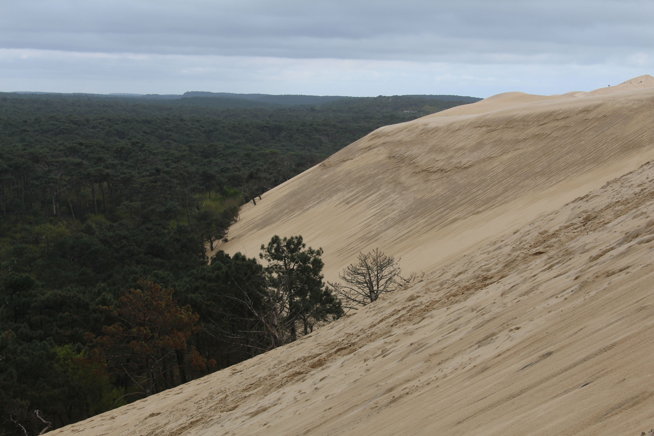 Dune du Pilat