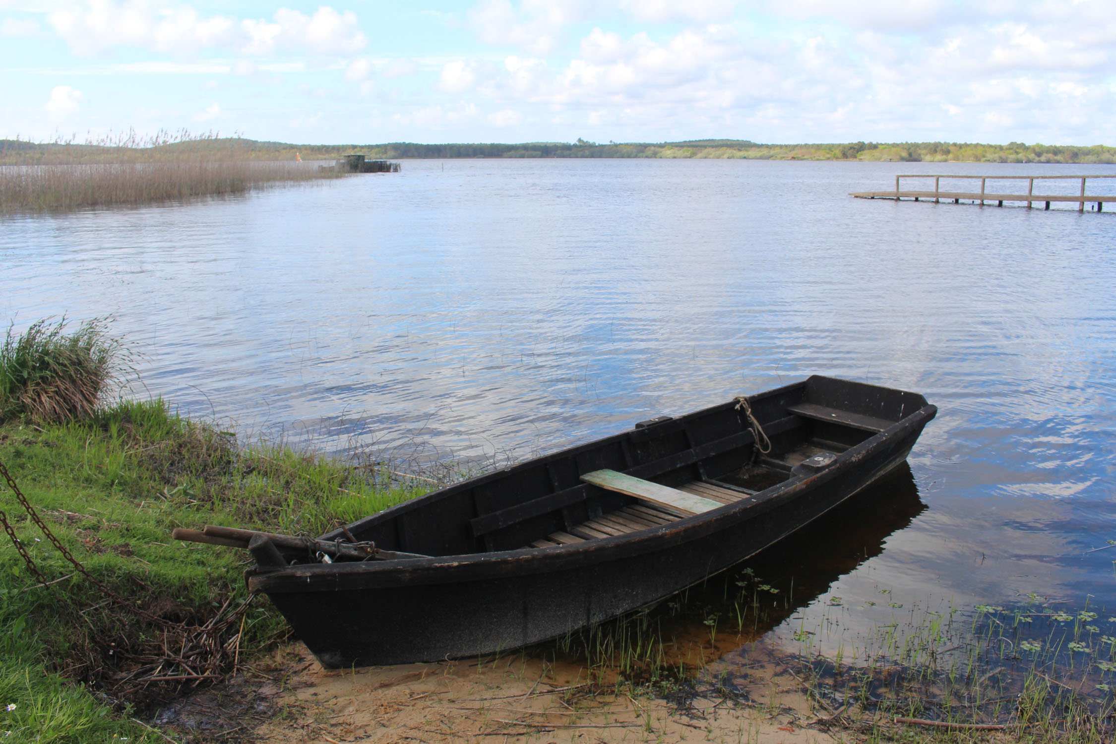 Landes, étang d'Aureilhan