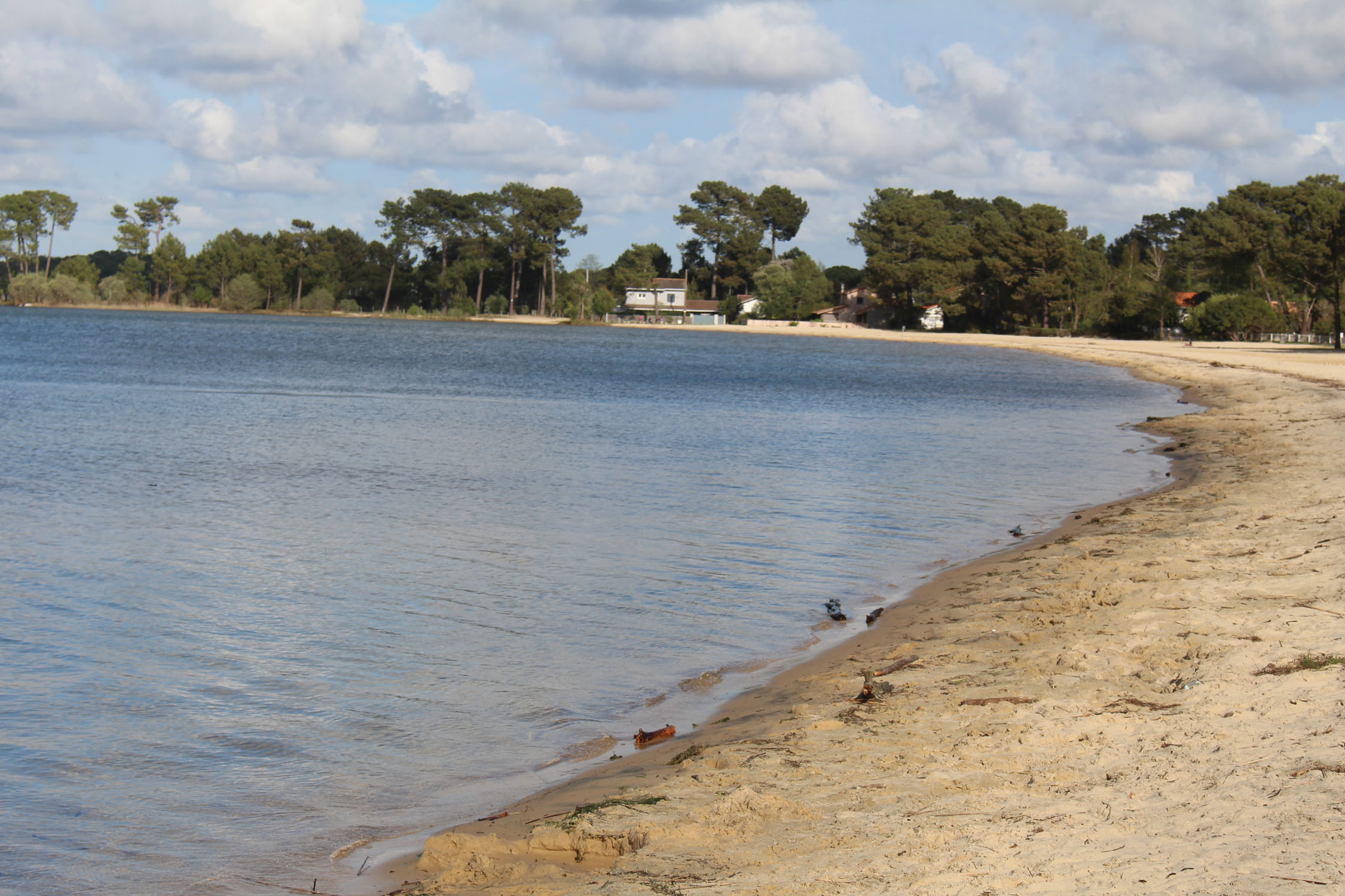 Landes, étang de Cazaux