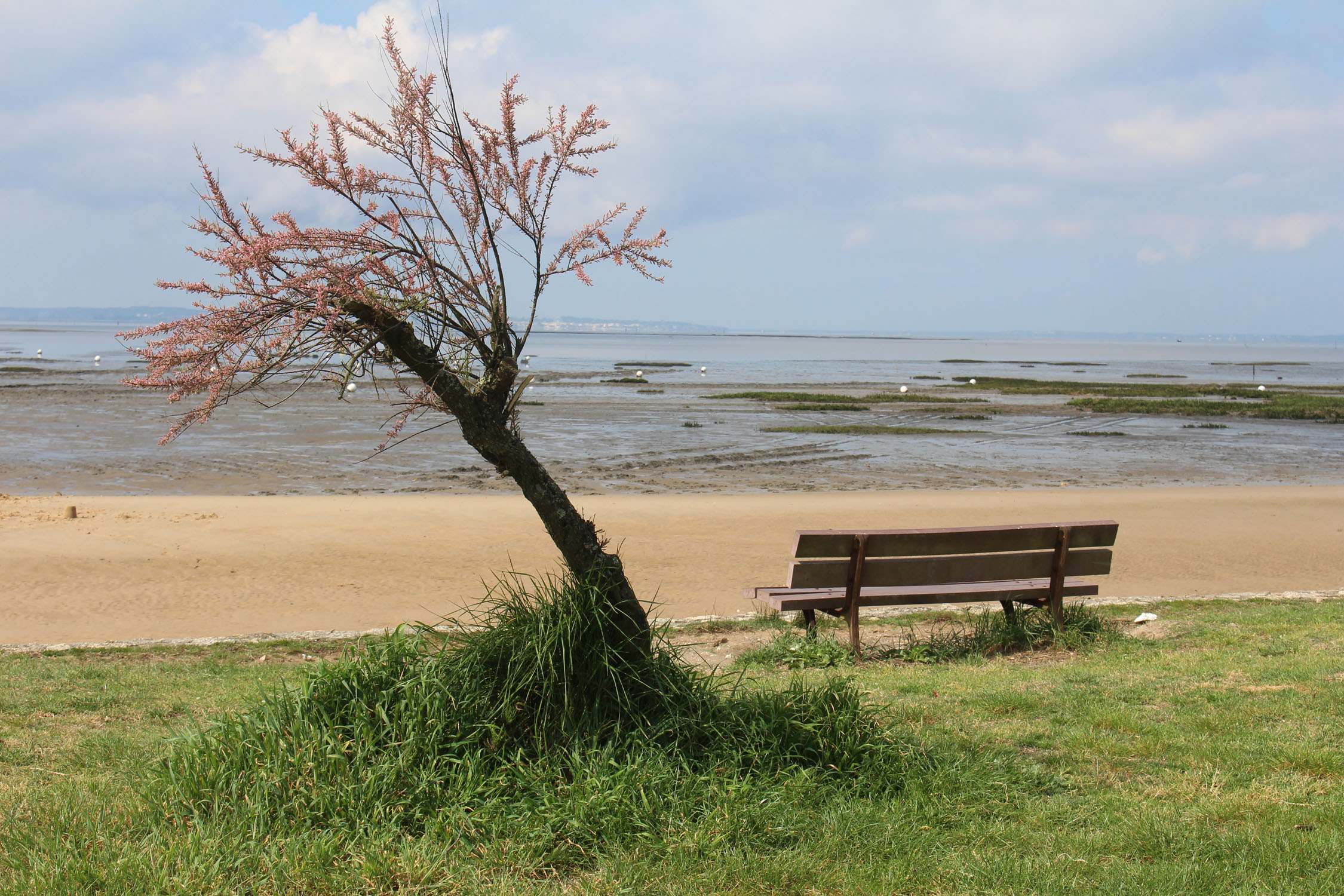 Audenge, bassin d'Arcachon