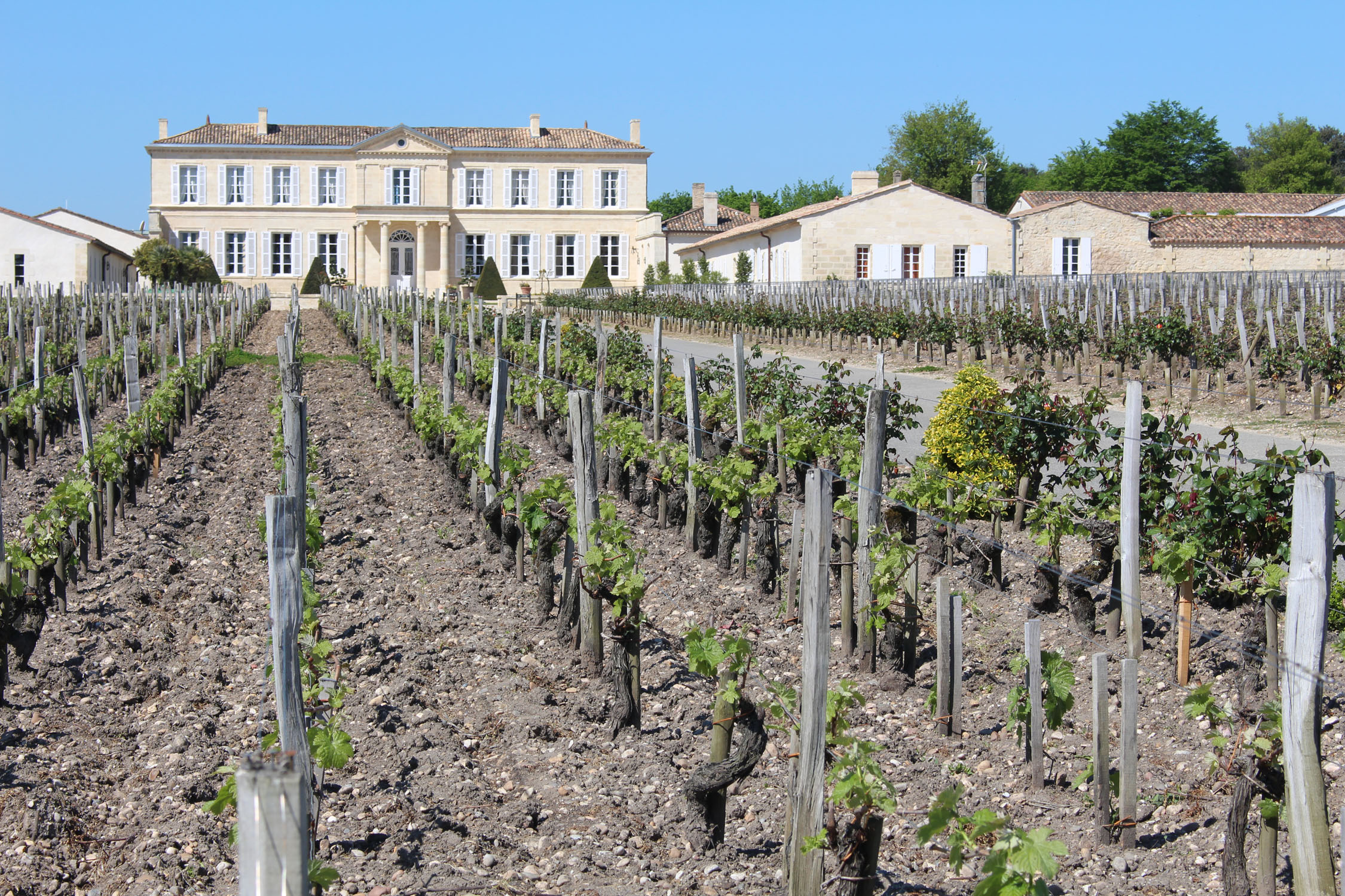 Château Branaire-Ducru