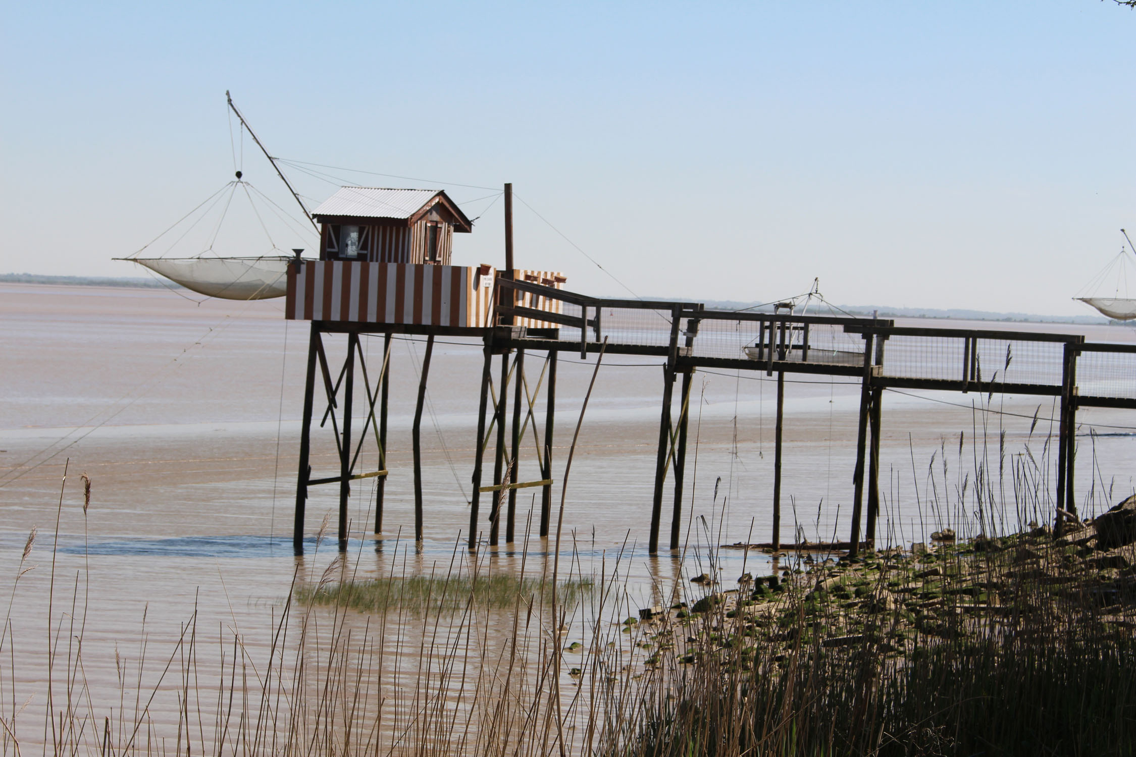 Carrelet, estuaire de la Gironde