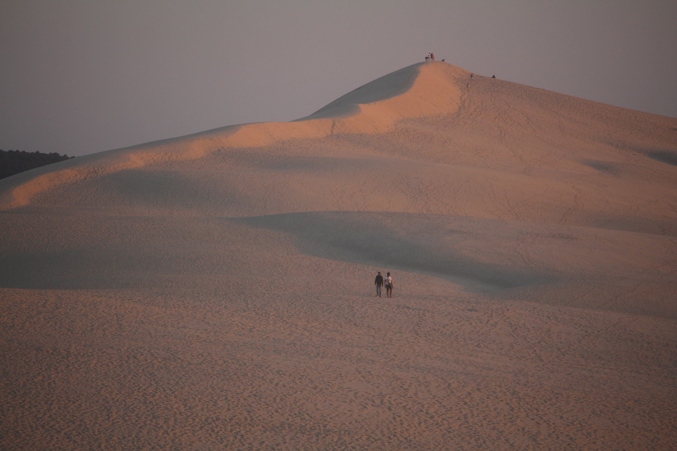 Dune du Pyla