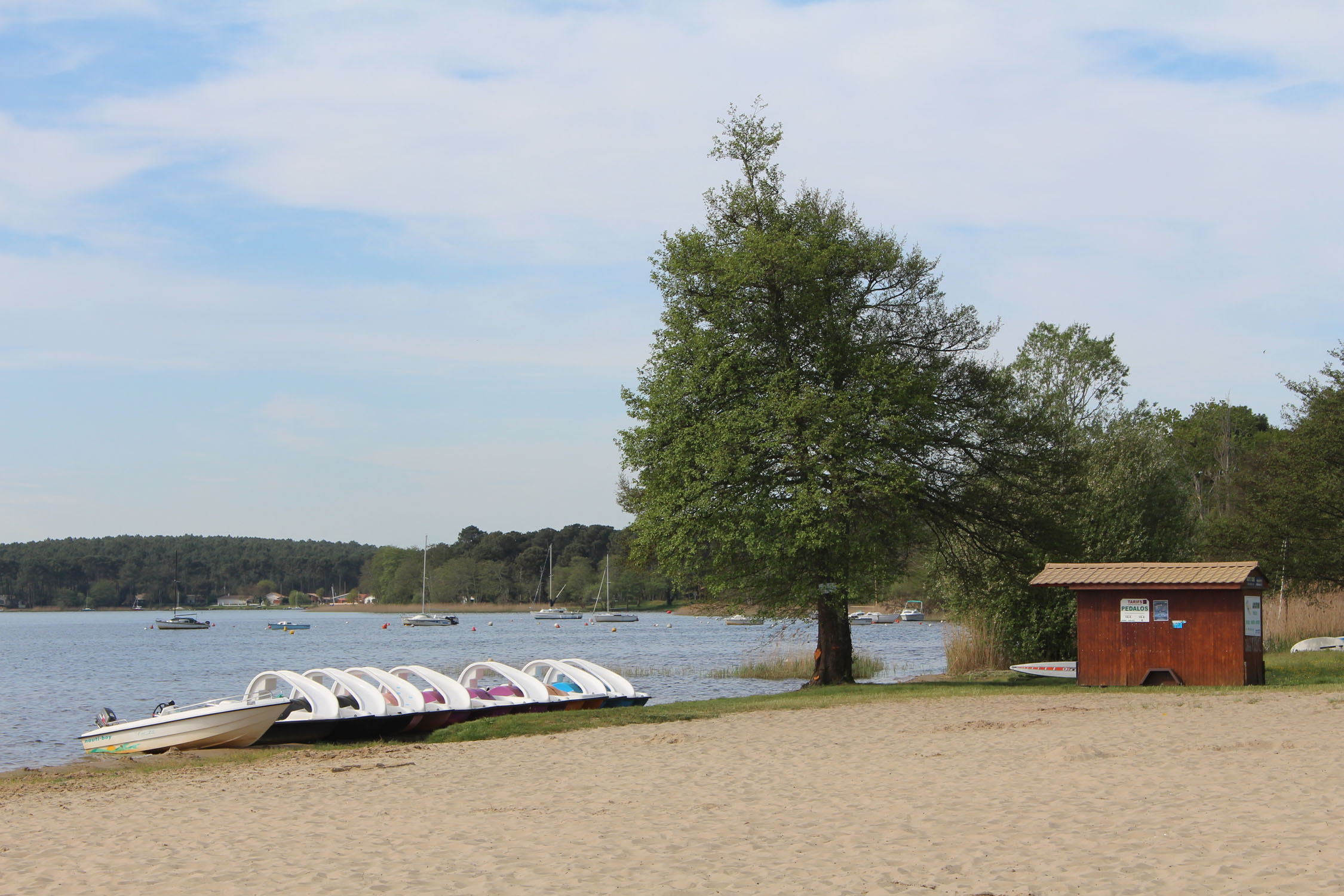 Lac de Lacanau, le Moutchic