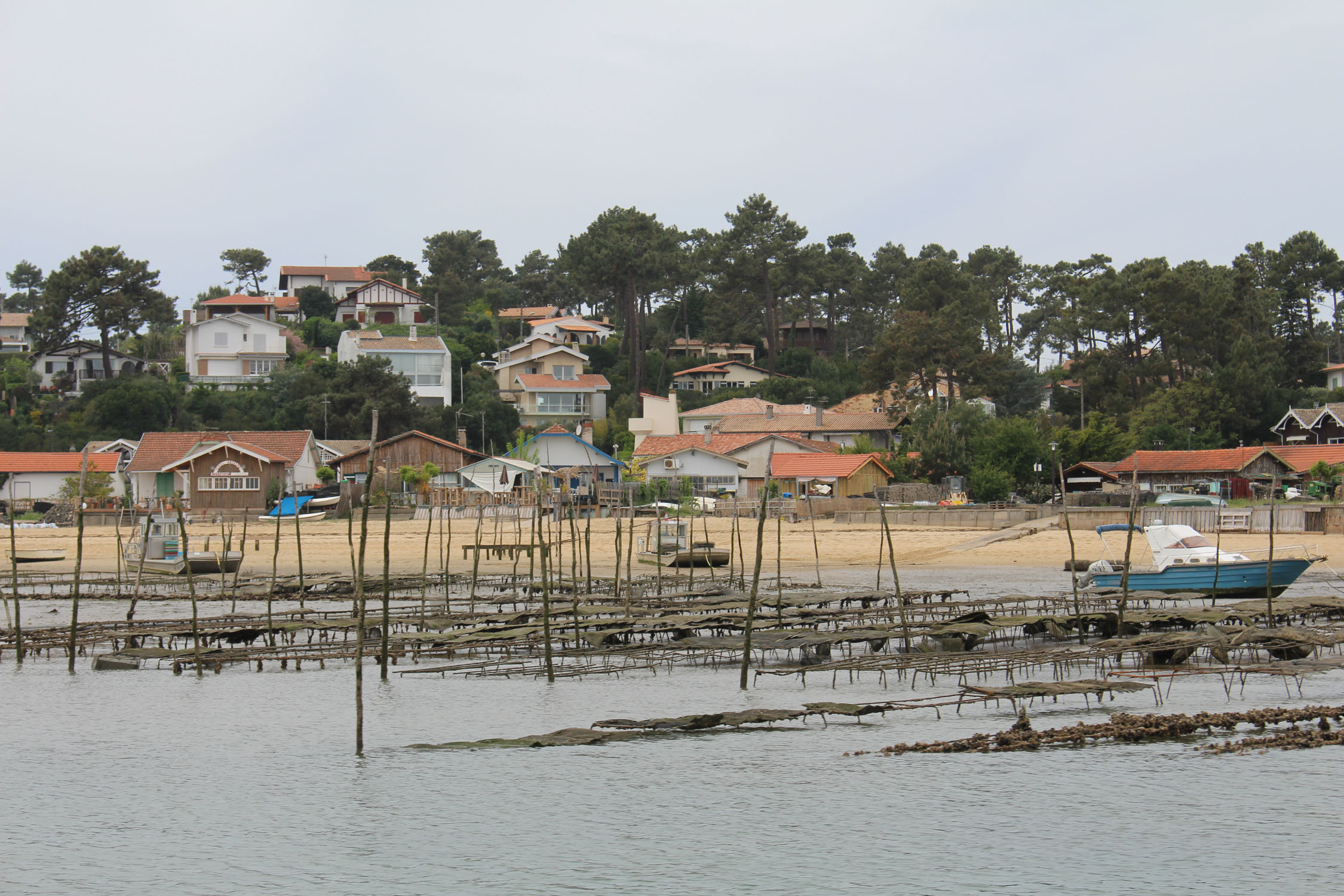 Bassin d'Arcachon, le Canon