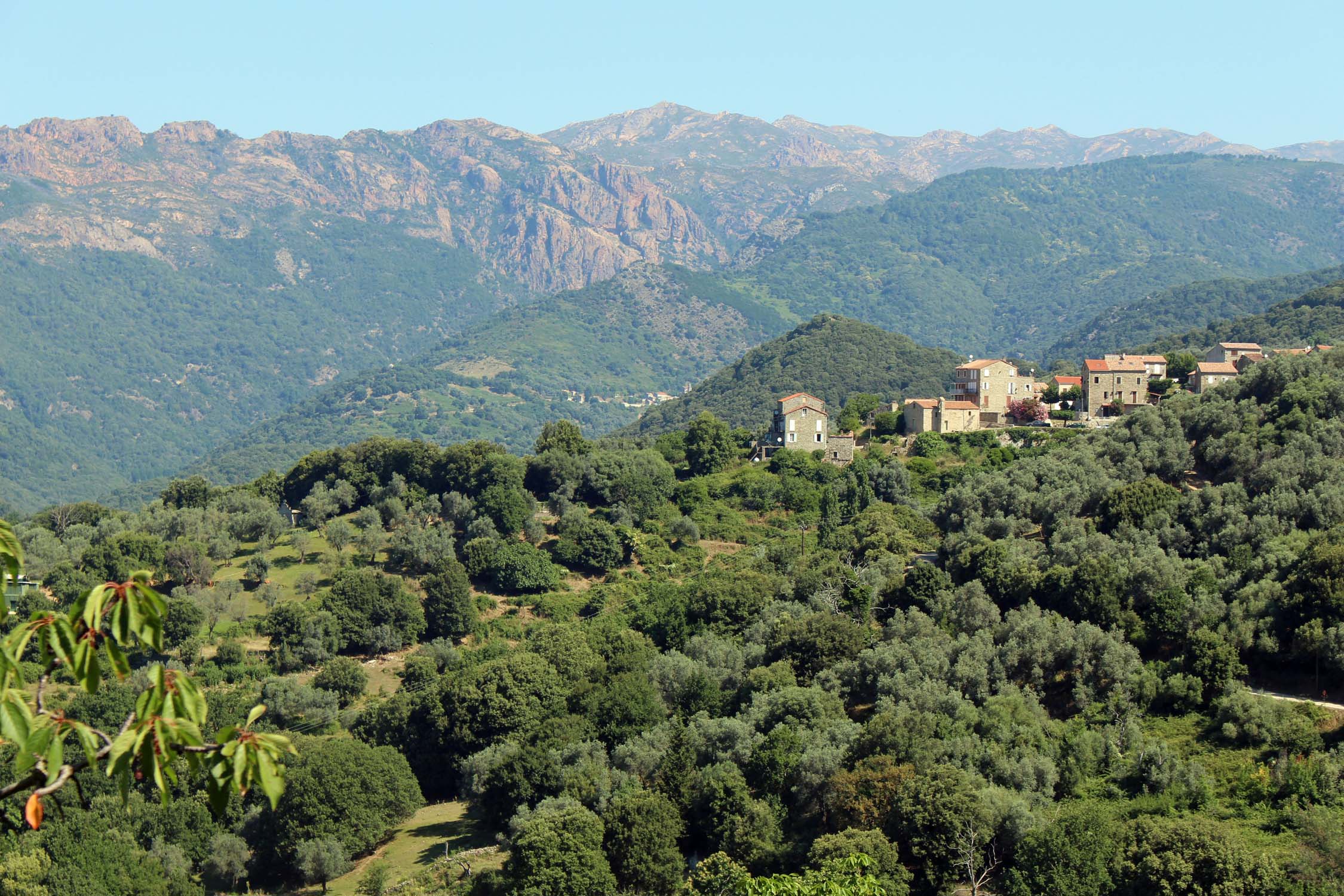 Paysage, Alta Rocca