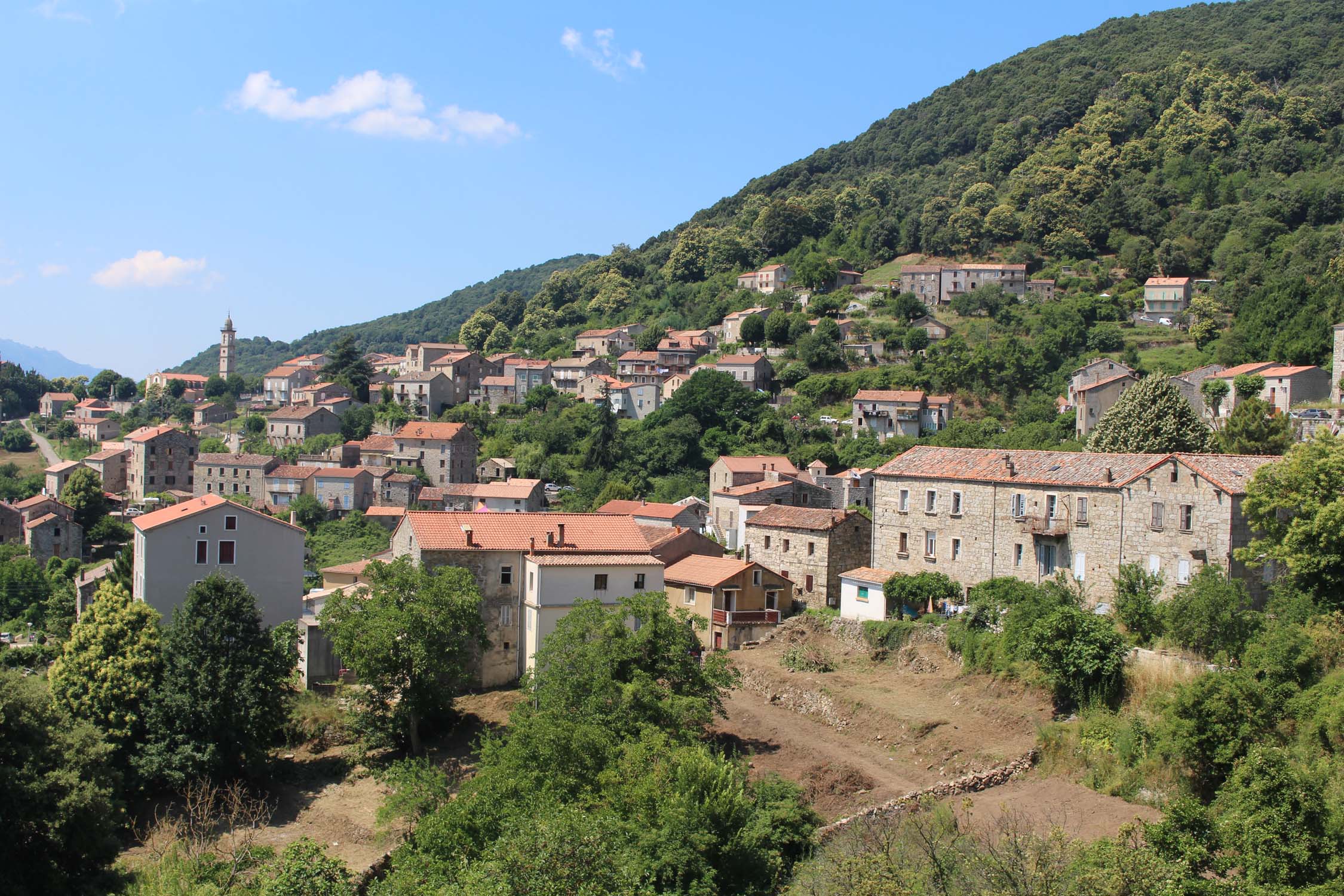 Corse, vue de Levie