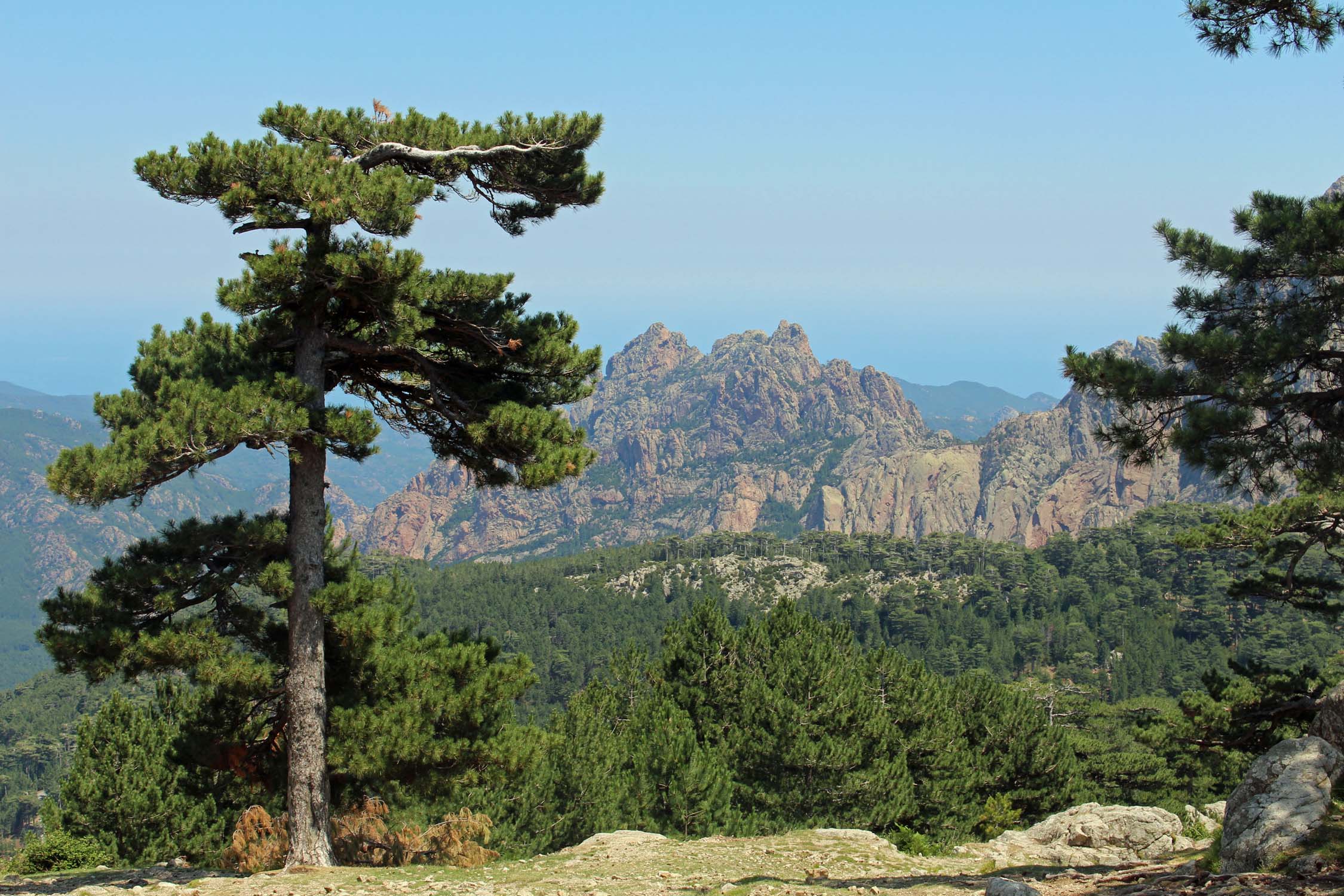 Bavella, Corse