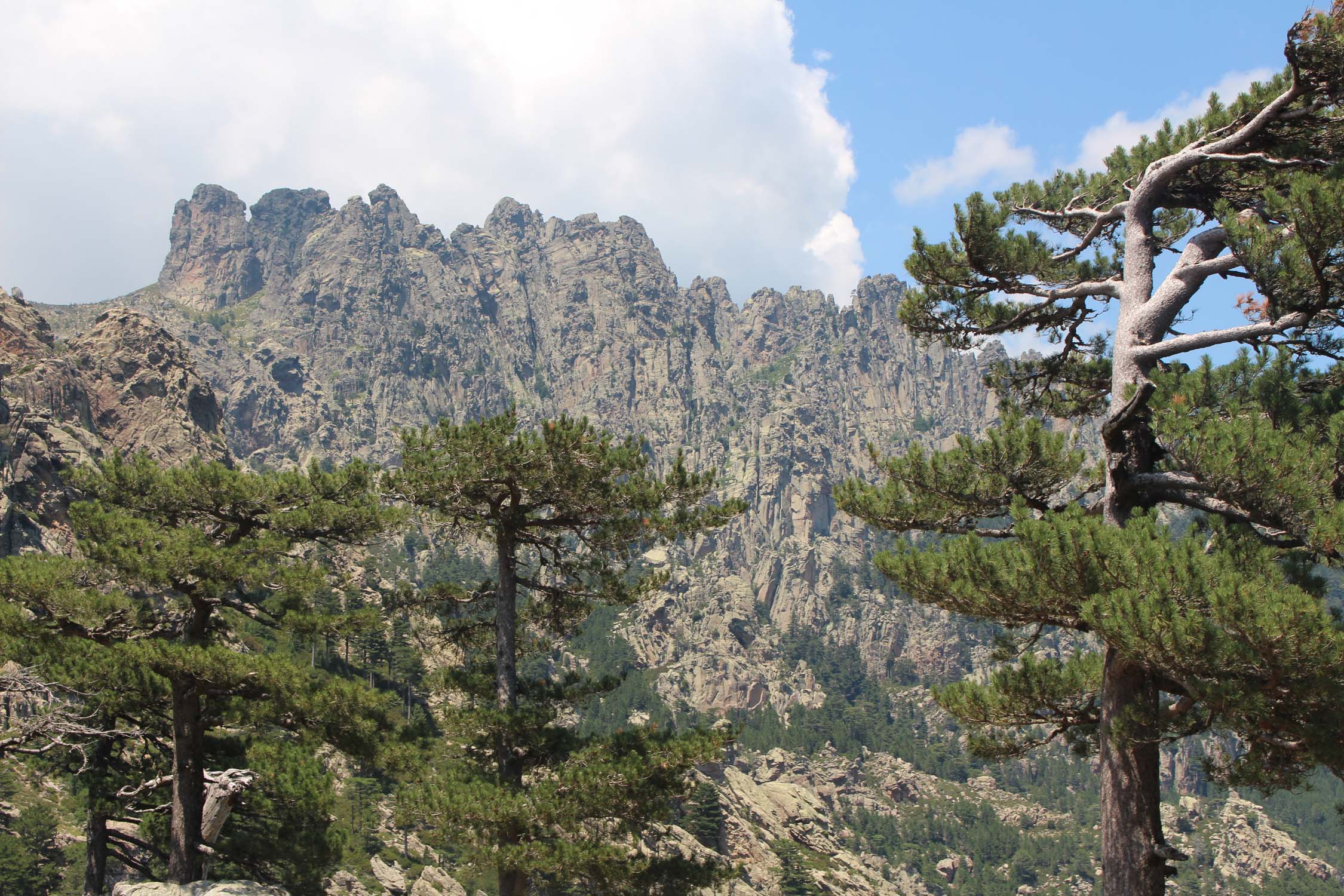 Col de Bavella, paysage