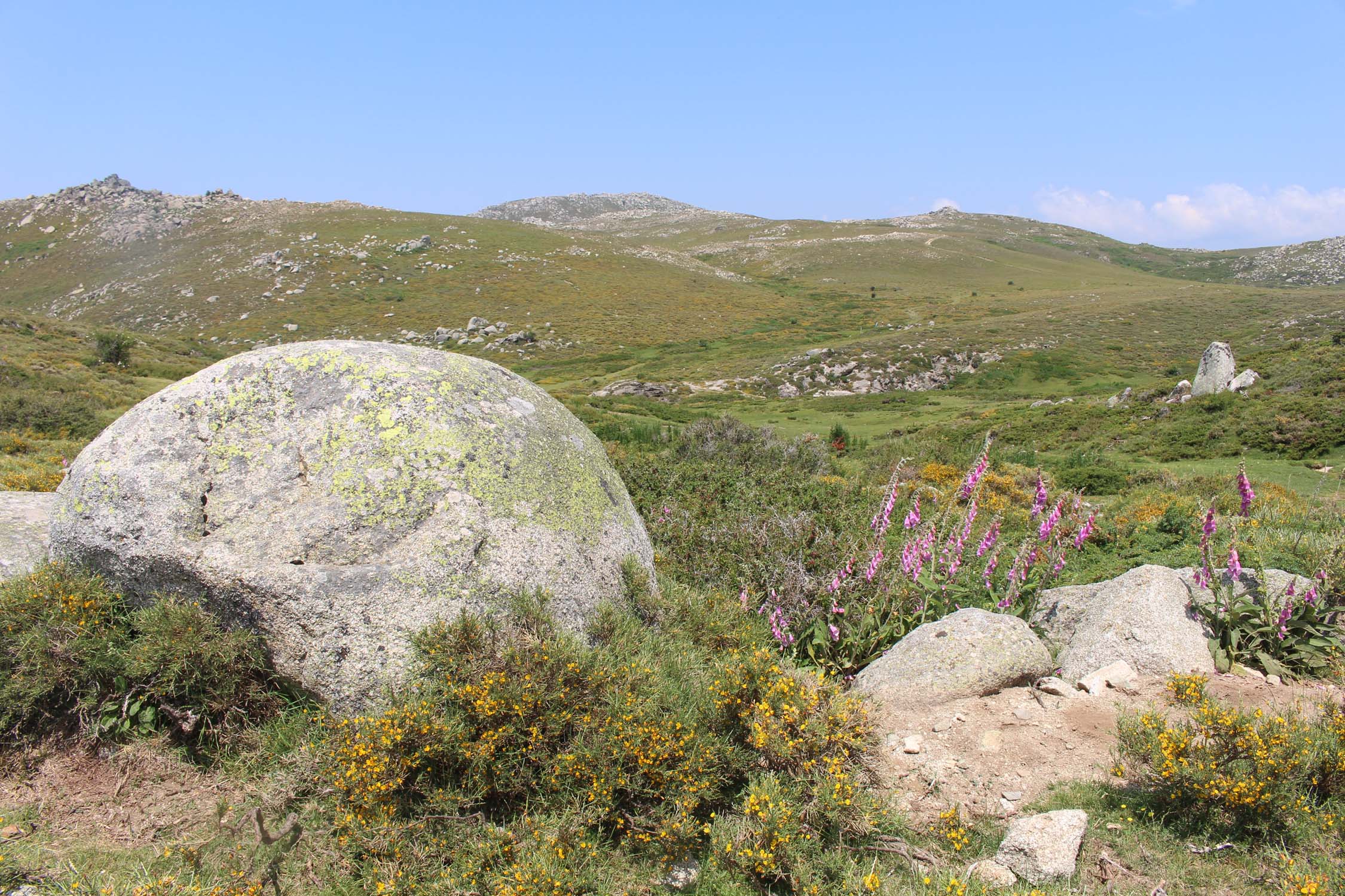 Plateau du Coscione