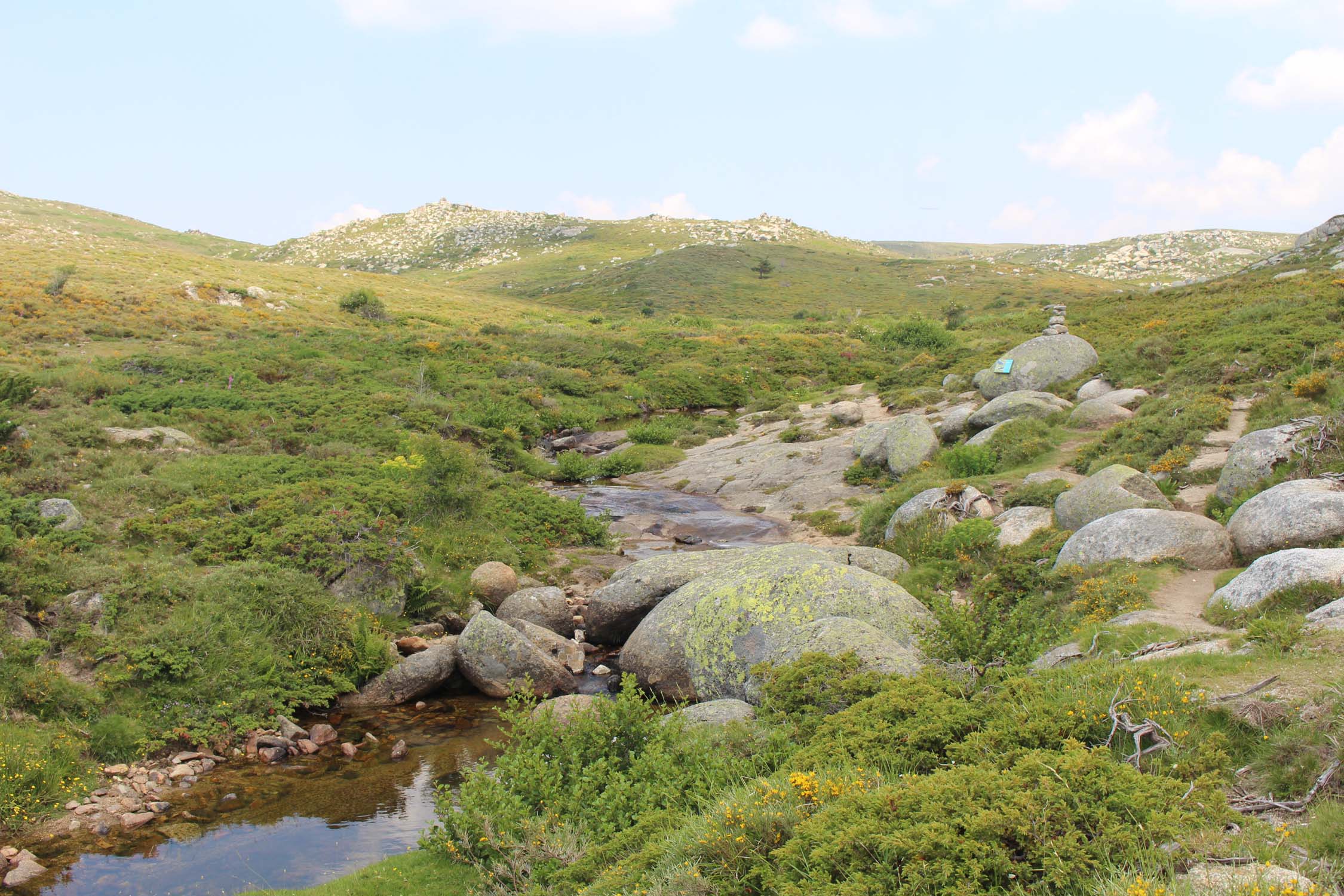 Plateau du Coscione, paysage