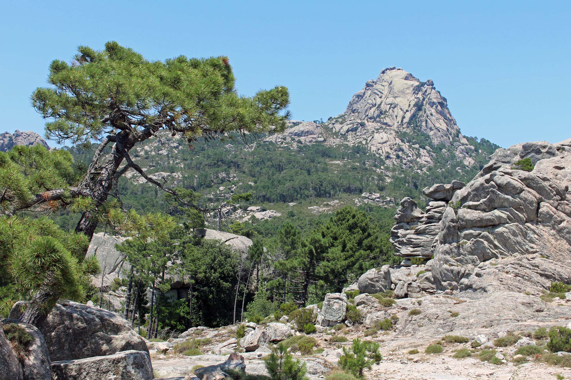 Pointe du Diamant, Corse